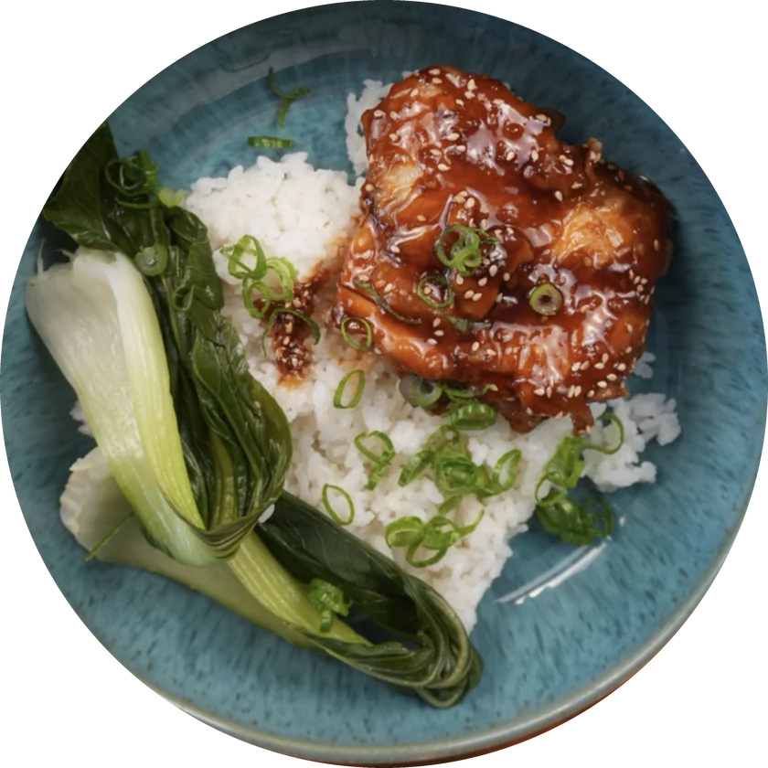 Teller mit Hähnchen Teriyaki Don aus Prepi